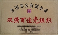 全国双强百佳党组织