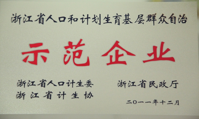 浙江省人丁与打算生育基层人民自造示范企业.JPG